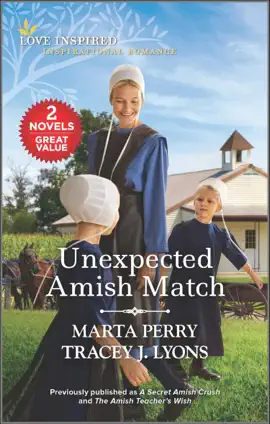 Read: Book Unexpected Amish Match