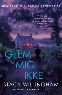 Glem mig ikke by Stacy Willingham