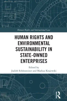 Read: Human Rights and Environmental Sustainability in State-Owned Enterprises Book