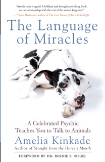 The Language of Miracles by Amelia Kinkade