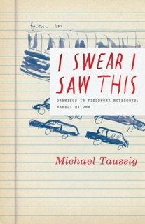 I Swear I Saw This by Michael Taussig