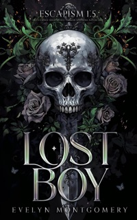 Lost Boy by Evelyn Montgomery
