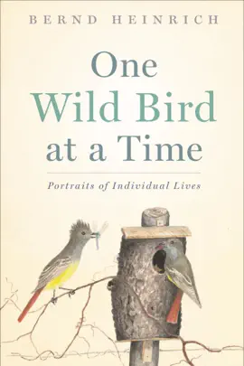 Read: One Wild Bird Book at a Time