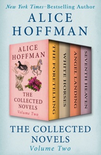 The Collected Novels Volume Two by Alice Hoffman