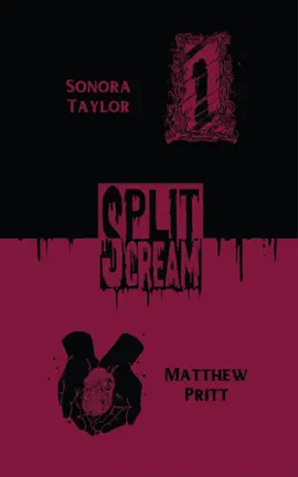 Read: Book Split Scream: Cursed Places