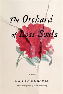 The Orchard of Lost Souls by Nadifa Mohamed