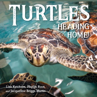 Turtles Heading Home! by Liza Ketchum, Jacqueline Martin & Phyllis Root