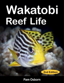 Wakatobi Reef Life II - Pam Osborn