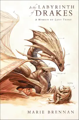 Read: In Book the Labyrinth of Drakes