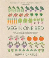 Veg in One Bed New Edition