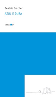 Azul e dura by Beatriz Bracher