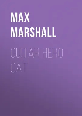Guitar Hero Cat