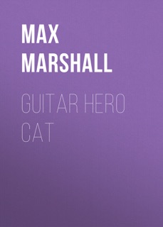 Guitar Hero Cat by Max Marshall