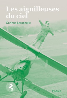 Les aiguilleuses du ciel by Corinne Larochelle