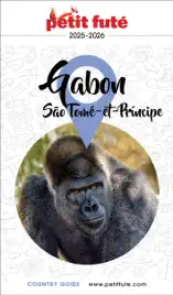 Guide Gabon / Sao Tome Et Principe 2024/2025 Petit Futé