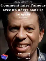 Dany Laferrière - Comment faire l'amour avec un nègre sans se fatiguer - Résumé