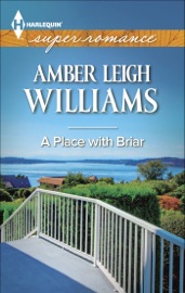 A Place with Briar - Amber Leigh Williams