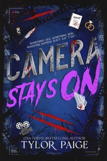 Camera Stays On by Tylor Paige