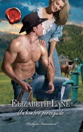 Un hombre perseguido - Elizabeth Lane