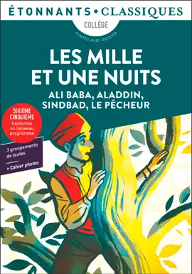 Read: Les Book Mille et Une Nuits - Ali Baba, Aladdin, Sindbad, Le Pêcheur - Contes avec dossier