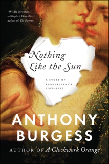 Nothing Like the Sun by Anthony Burgess