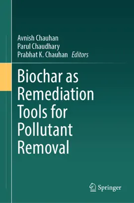 Read: Biochar as Remediation Tools for Book Pollutant Removal