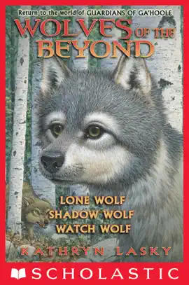 Read: Wolves of the Book Beyond Collection: Books 1-3