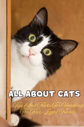 Read: all Book About Cats