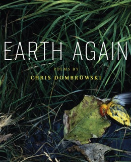 Earth Again by Chris Dombrowski