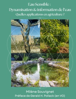L'eau sensible : Dynamisation et information de l'eau by Milène Souvignet