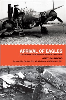 Arrival of Eagles by Andy Saunders