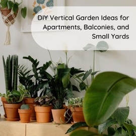 DIY Vertical Garden Ideas for Apartments, Balconies, and Small Yards - Monica Jepchumba