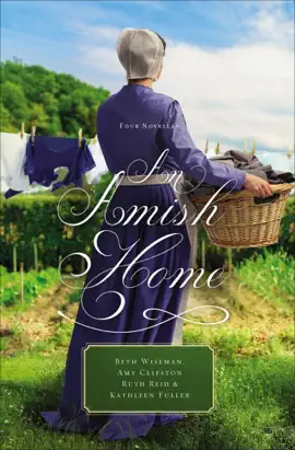Read: An Book Amish Home