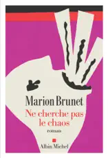 Ne cherche pas le chaos