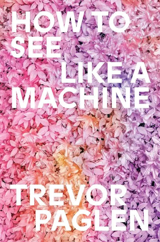 How to See Like a Machine