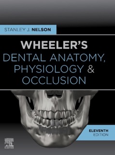 Wheeler's Dental Anatomy, Physiology and Occlusion - E-Book by Stanley J. Nelson