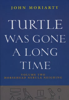 Turtle Was Gone A Long Time Vol.2 by John Moriarty