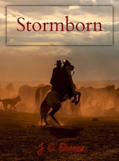 Stormborn by J. C. Owens
