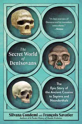 The Secret World of Denisovans