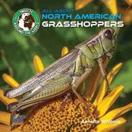 All About North American Grasshoppers - Annette Whipple