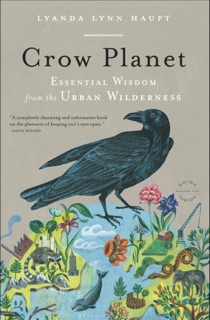 Crow Planet by Lyanda Lynn Haupt