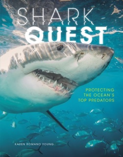Shark Quest by Karen Romano Young