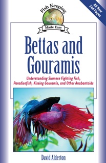 Bettas and Gouramis by David Alderton