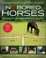 No Bored Horses