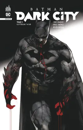 Read: Batman Dark City tome 3 Book