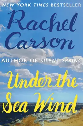 Read: Under the Sea Book Wind
