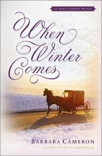 When Winter Comes by Barbara Cameron