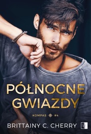 Północne gwiazdy - Brittainy C. Cherry & Katarzyna Dyrek