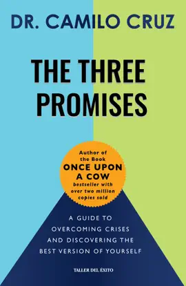 Read: The Three Promises Book