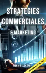 Stratégies Commerciales et Marketing